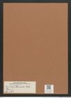 Navicula formica Ehr. (de-Toni-Nr.: Genus 1, Species 693) Zeichnungen Sammlung Grunow Mappe 00580 (Herbarium_W_Grunow_drawings_Folder_00580)
